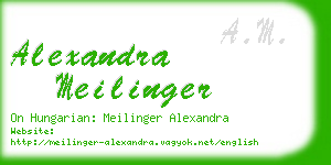 alexandra meilinger business card